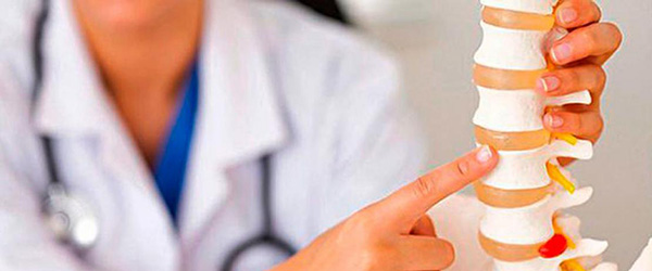 Особливості дії дієтичних БАДів, що впливають на опорно-руховий апарат